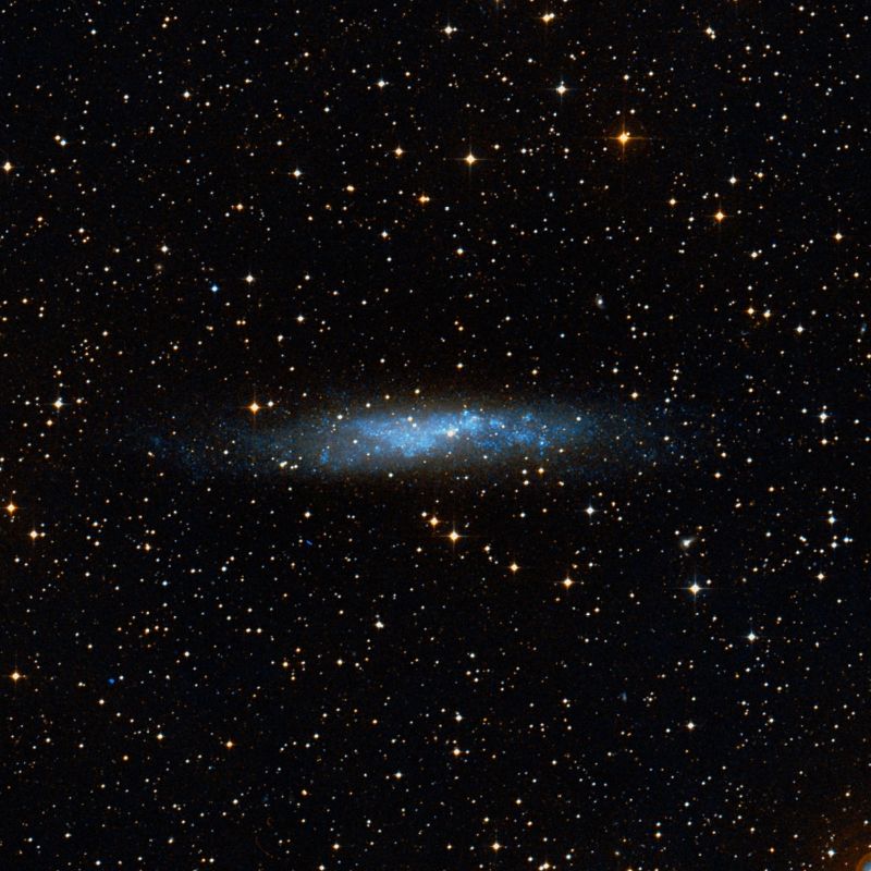 NGC3109