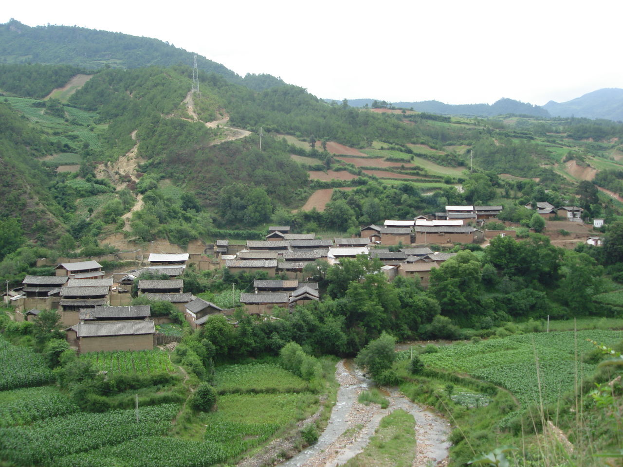 溫水廟東村