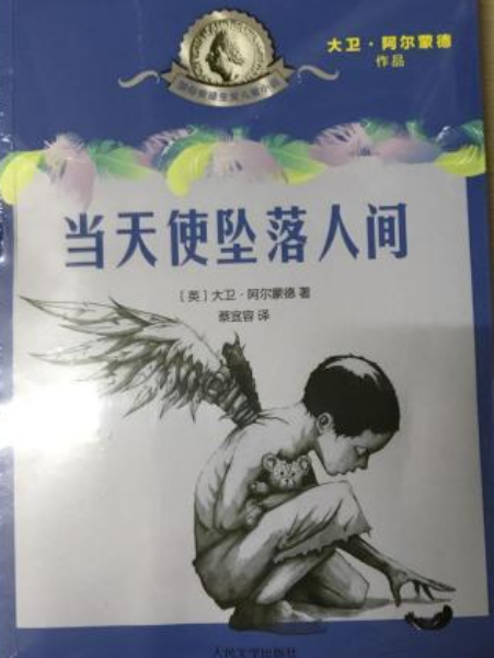 國際安徒生獎兒童小說：當天使墜落人間