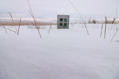 內蒙古蒙北燕麥種植基地