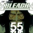 BLEACH―ブリーチ― 55