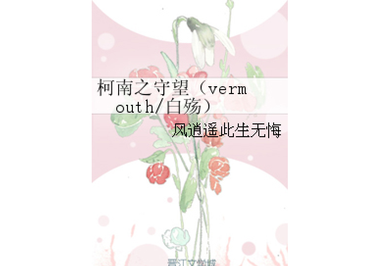 柯南之守望（vermouth/白殤）