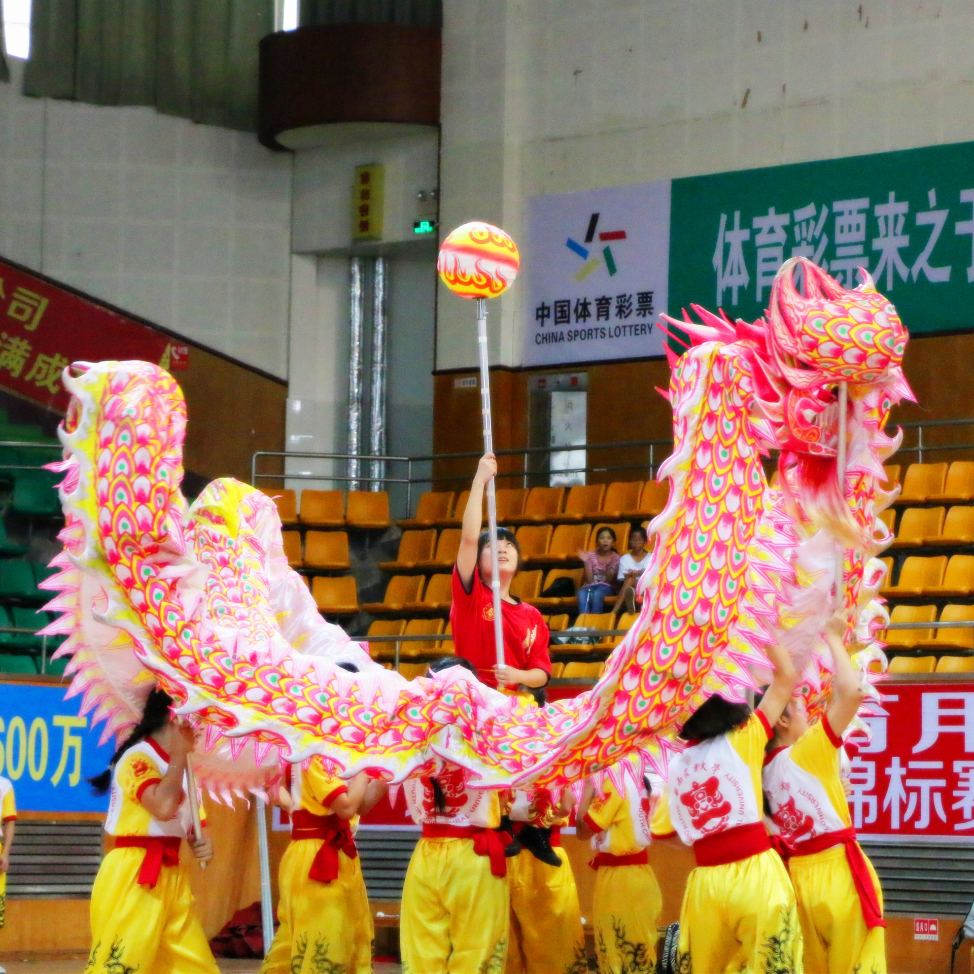 華南農業大學龍獅隊