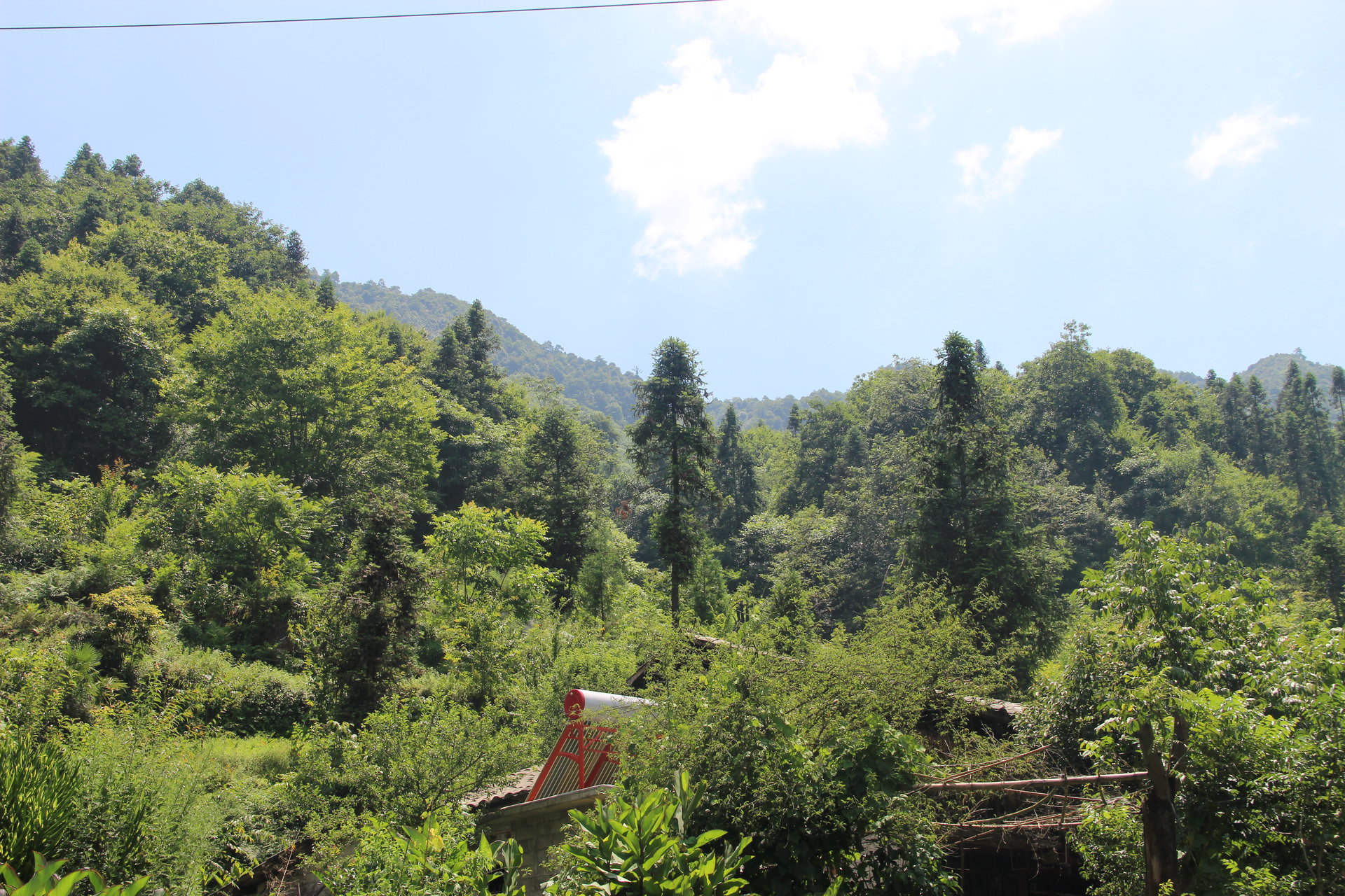 甘頂村