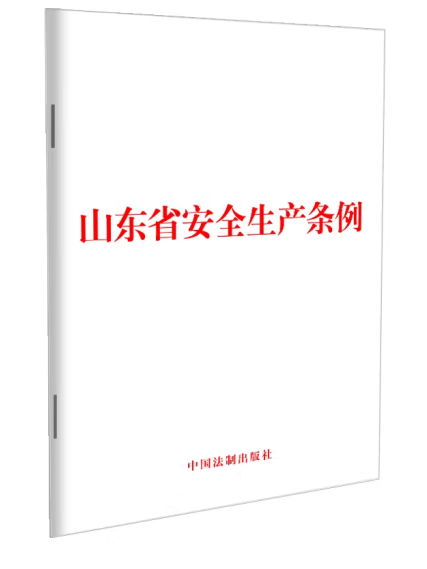 山東省安全生產條例(2023年中國法制出版社出版的圖書)