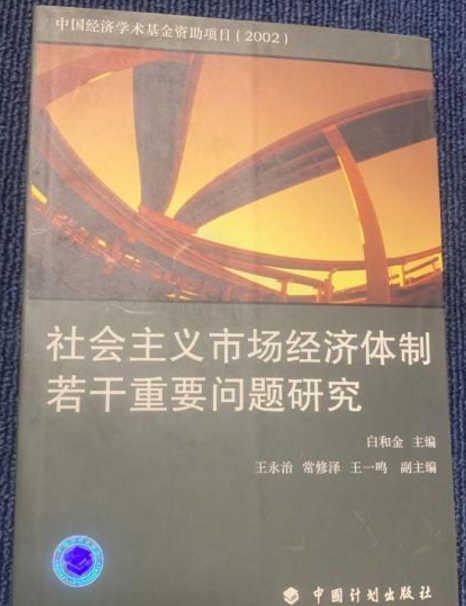 社會主義市場經濟體制若干重要問題研究