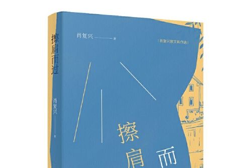 擦肩而過(作家出版社2020年12月出版的書籍)