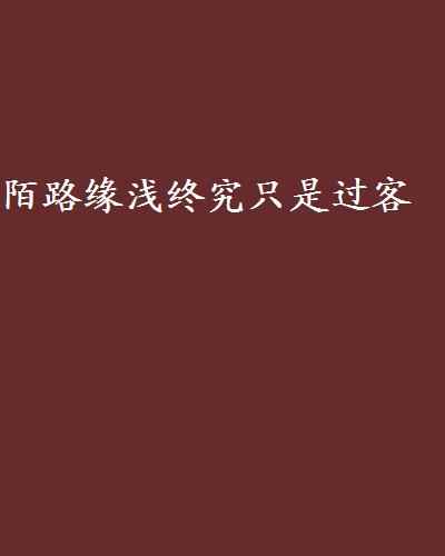 陌路緣淺終究只是過客