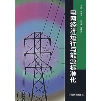 電網經濟運行與能源標準化