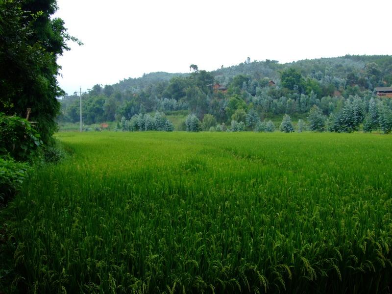 迤石壩村