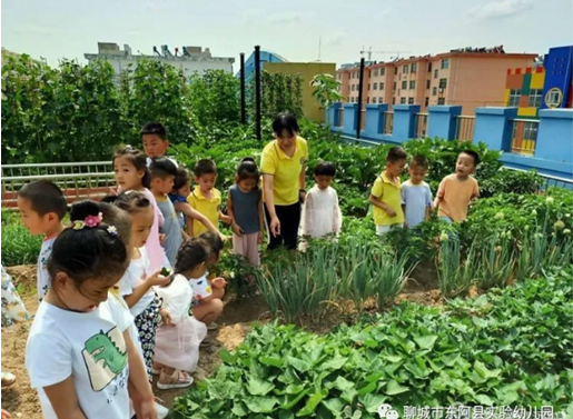 東阿縣實驗幼稚園