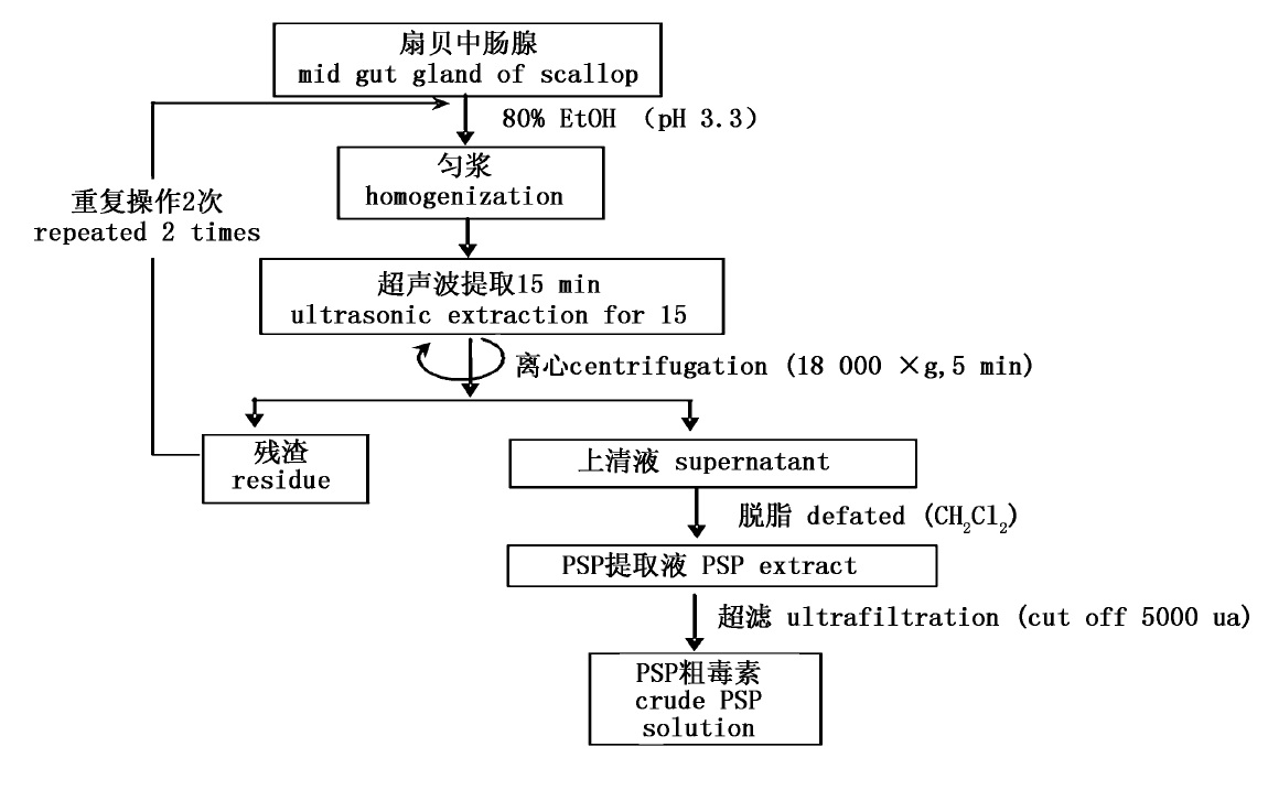 扇貝腸腺中PSP提取流程