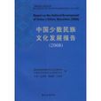 中國少數民族文化發展報告(2008)