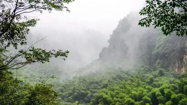 花龍溝