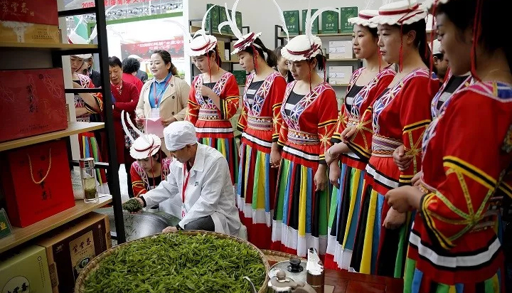 甘肅（隴南）茶文化旅遊節