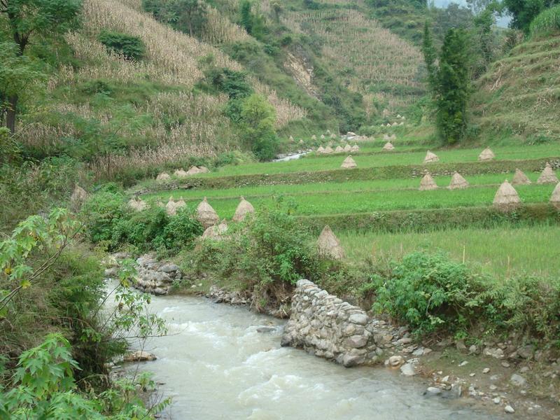 迤柳樹田村