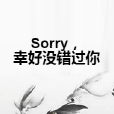 Sorry，幸好沒錯過你