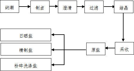 復州灣海鹽