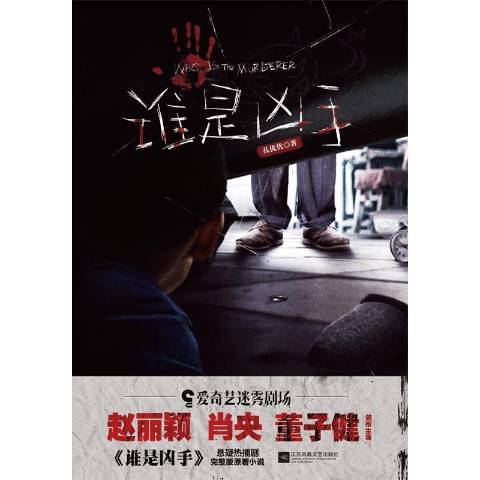 誰是兇手(2021年江蘇鳳凰文藝出版社出版的圖書)