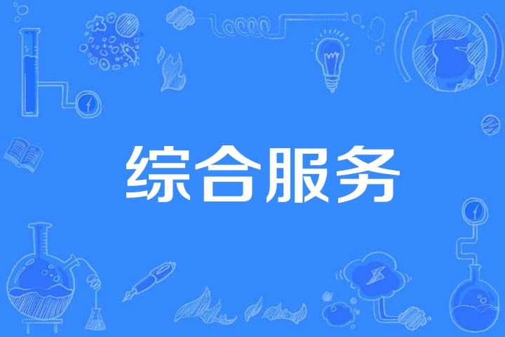 綜合服務(計算機科學技術名詞)