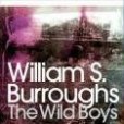 The Wild Boys