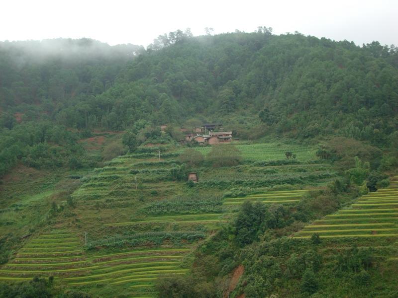 麥地村(雲南省臨滄鎮康縣忙丙鄉下轄村)