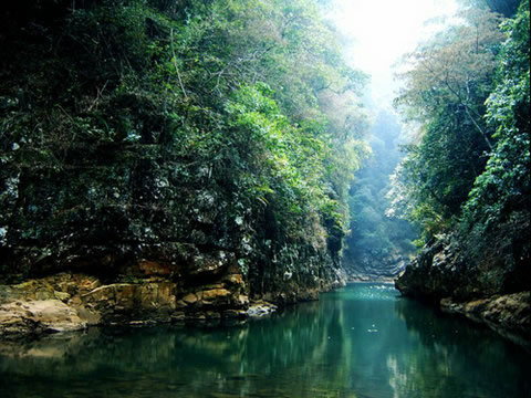 景觀路原始森林風景區