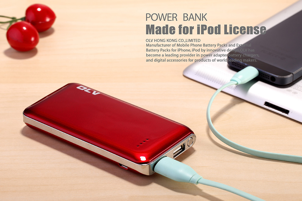 Power Wallet VB-P6000