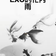 EXO的忙內雨