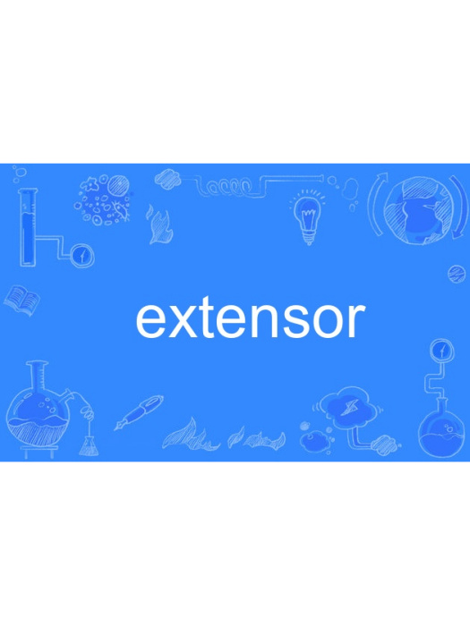 extensor