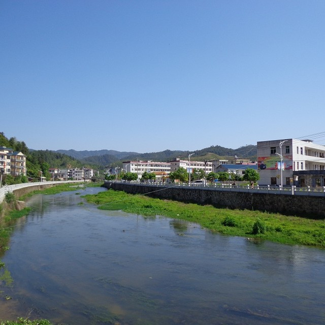 陂坑村(陸河縣新田鎮陂坑村)