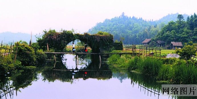 漳溪坑頭風景林