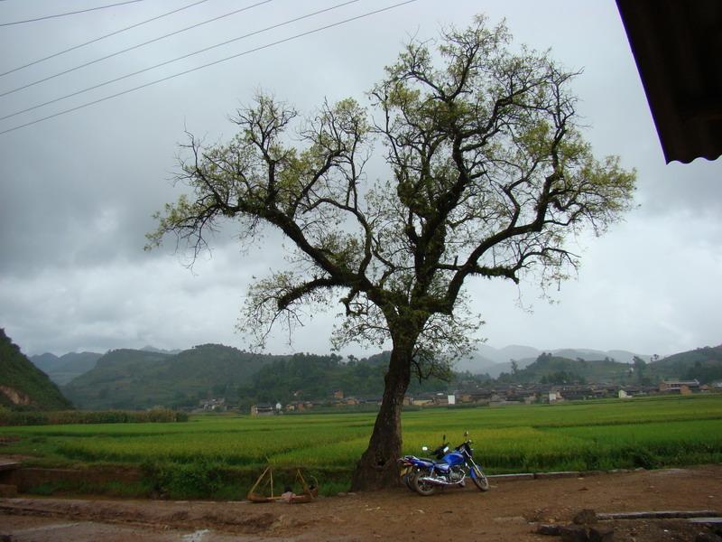 大黑石頭自然村