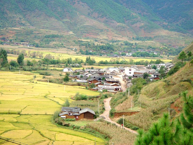 何家村自然村(雲南省曲靖市會澤縣大橋鄉下轄村)