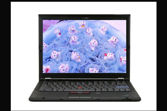 ThinkPad X300(6477HD1)