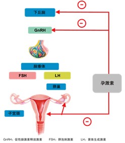 依託孕烯