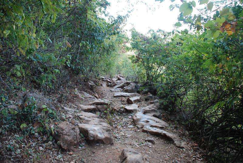 武夷山閩贛古驛道