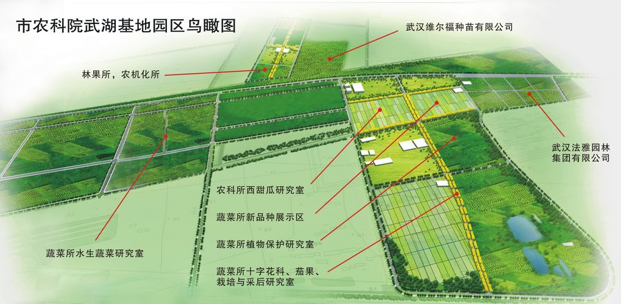 [武湖基地]鳥瞰圖