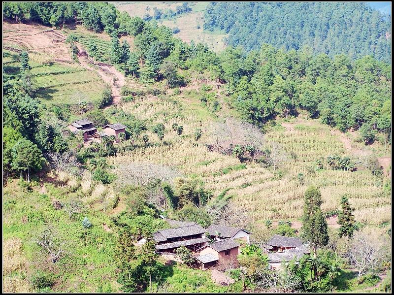 木掌大平掌村