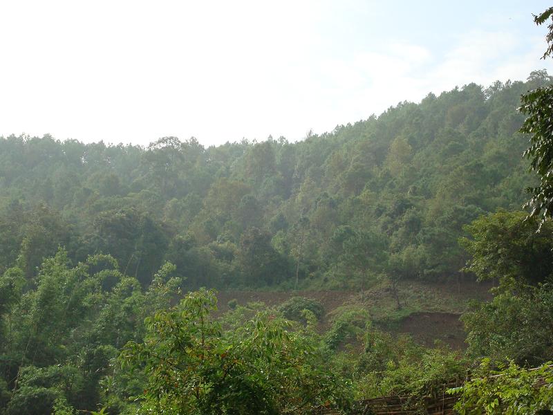 芒木山村