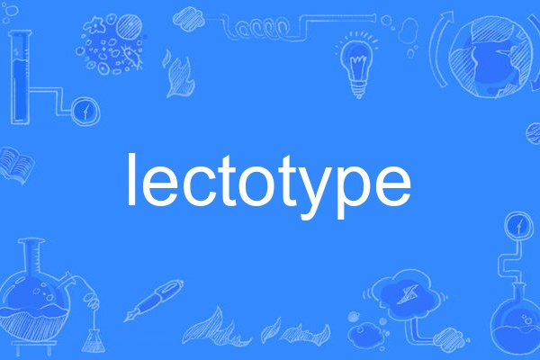 lectotype