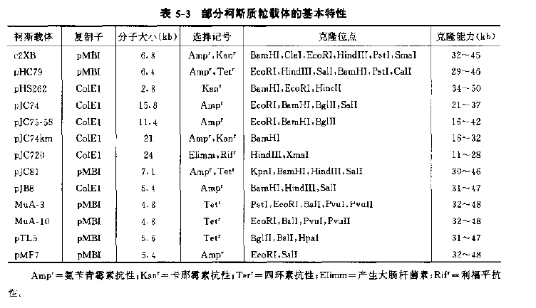 部分柯斯質粒載體的基本特性