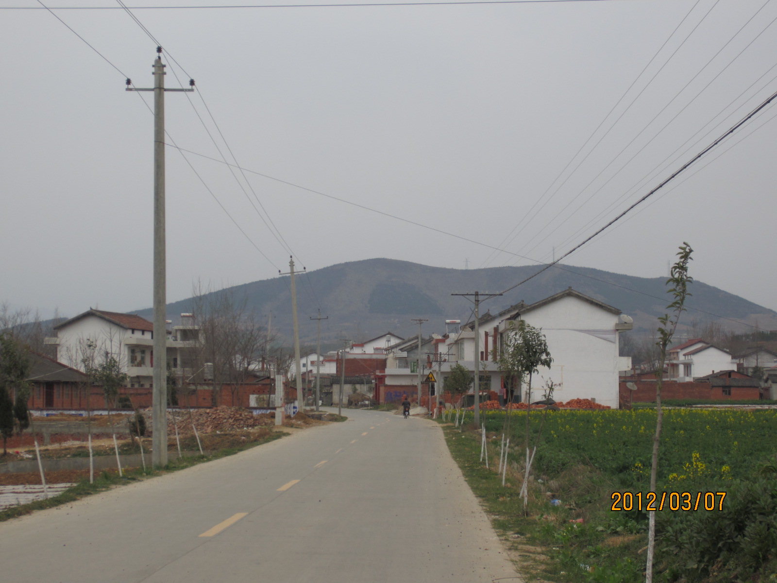 龍泉村(陝西省洋縣洋州鎮龍泉村)