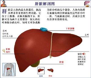 乙硫異煙胺(Ethionamide)