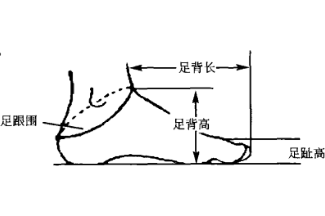 足背高