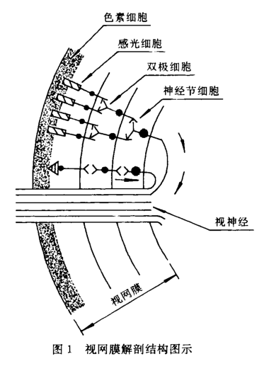 顏色信息處理