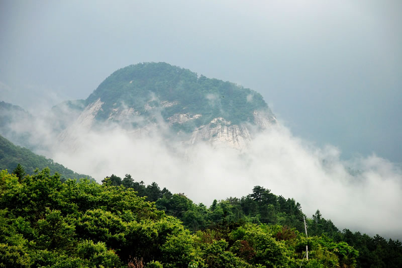 湖北大別山國家級自然保護區