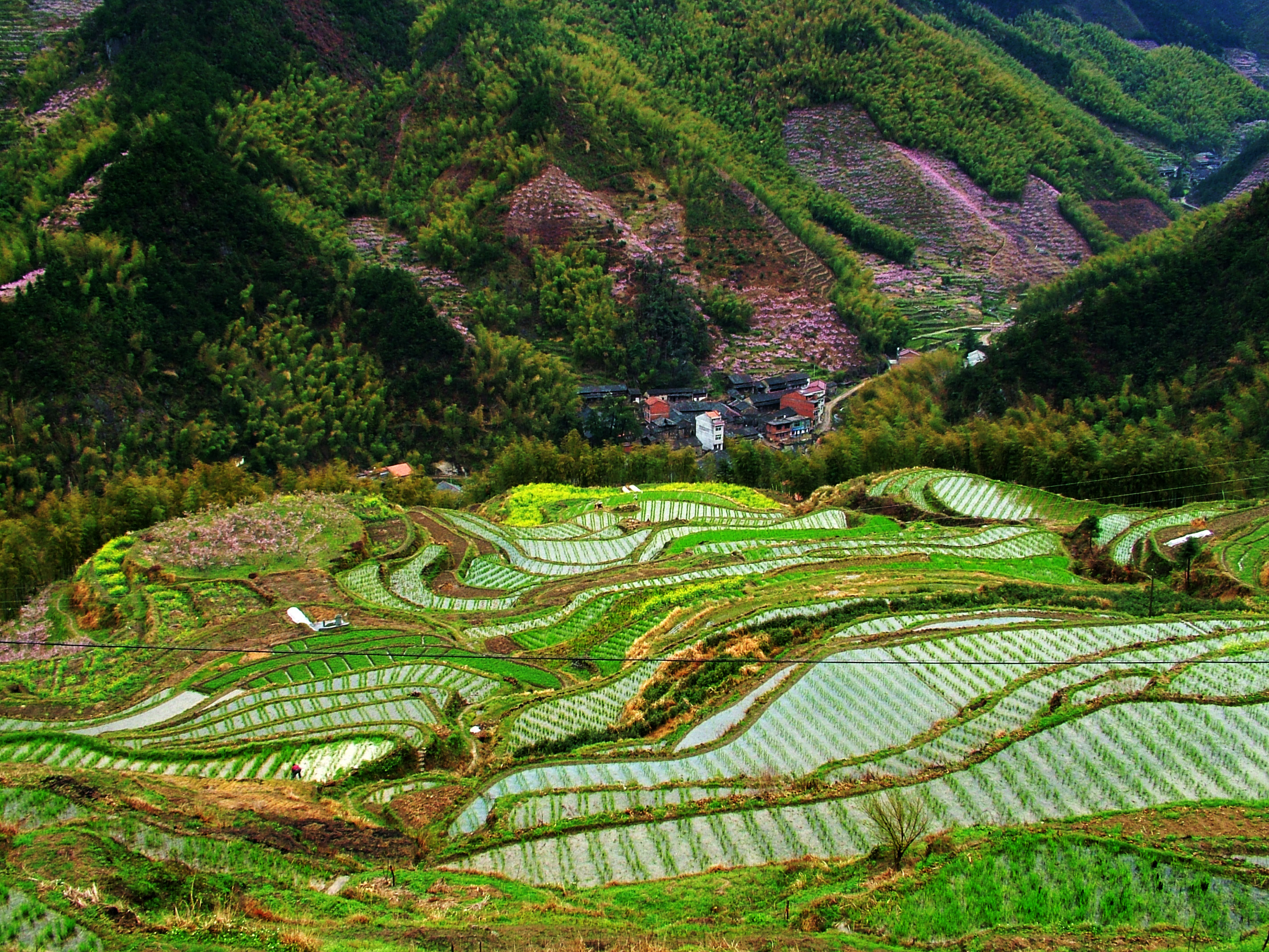 岩下村