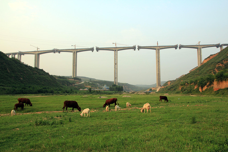 修建中的五里坡特大橋