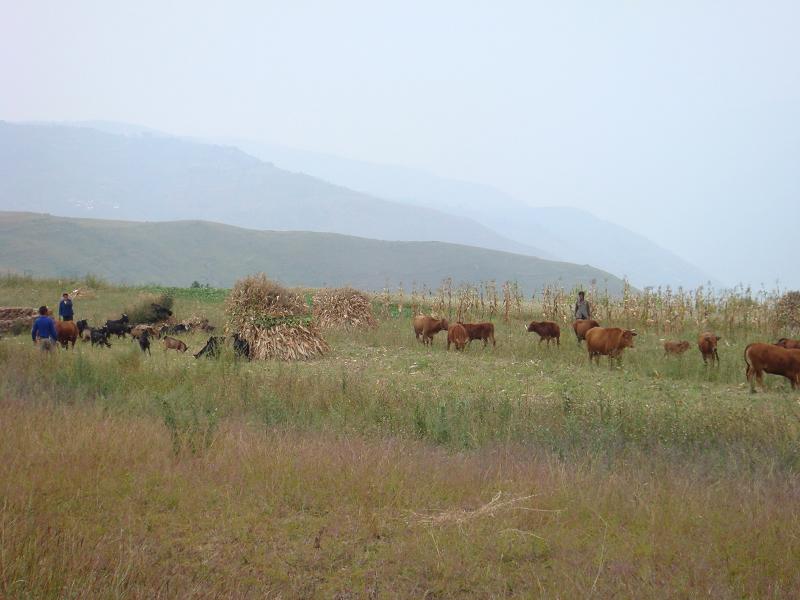 外團山自然村